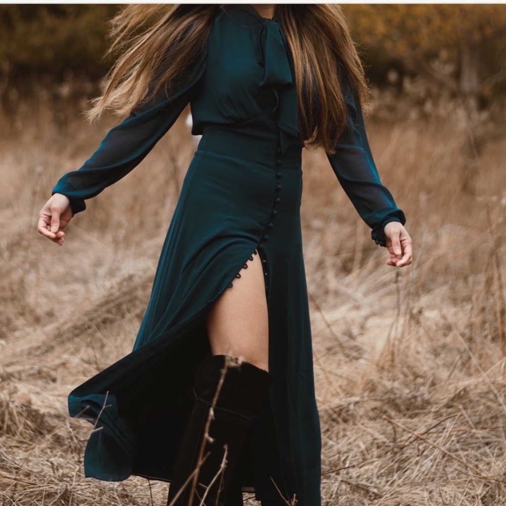 ARITZIA||Wilfred|Mambo Dress - Picture 12 of 15